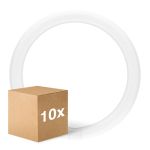 Opakowanie 10x Ledvance Rura LED T9 Value Okólnik (EM/Mains) 18.3W 2200lm - 840 Zimna Biel | Zamienne 32W